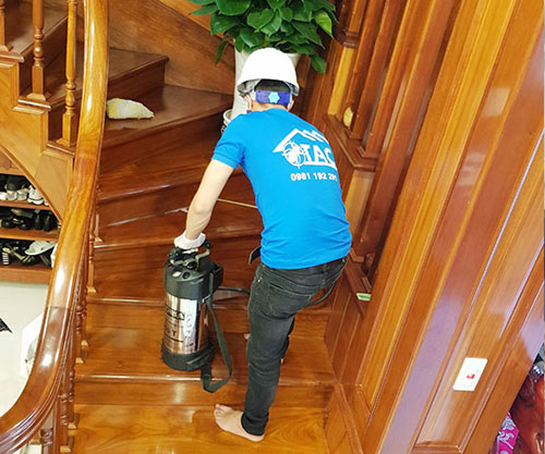 Dịch vụ diệt côn trùng