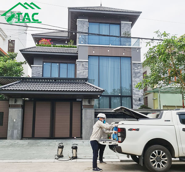 diệt mối tận gốc ở bắc giang